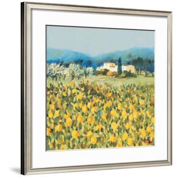 Lemon Grove, Tuscany-Hazel Barker-Framed Giclee Print