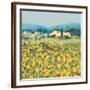 Lemon Grove, Tuscany-Hazel Barker-Framed Giclee Print