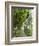 Lemon Groves, Amalfi Coast, Campania, Italy, Europe-Mark Mawson-Framed Photographic Print