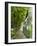 Lemon Groves, Amalfi Coast, Campania, Italy, Europe-Mark Mawson-Framed Photographic Print