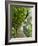 Lemon Groves, Amalfi Coast, Campania, Italy, Europe-Mark Mawson-Framed Photographic Print