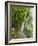 Lemon Groves, Amalfi Coast, Campania, Italy, Europe-Mark Mawson-Framed Photographic Print