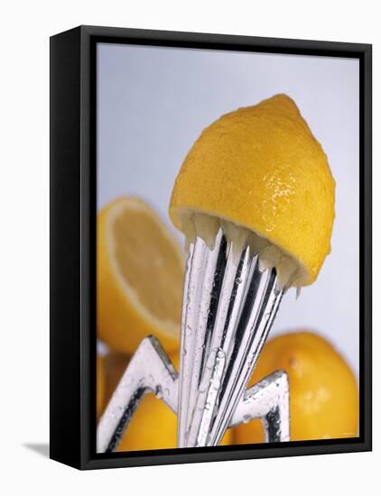 Lemon Half on Metal Juicer-Alexander Feig-Framed Premier Image Canvas