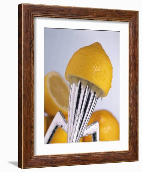 Lemon Half on Metal Juicer-Alexander Feig-Framed Photographic Print