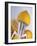 Lemon Half on Metal Juicer-Alexander Feig-Framed Photographic Print