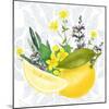 Lemon Lemon 2-Kimberly Allen-Mounted Art Print