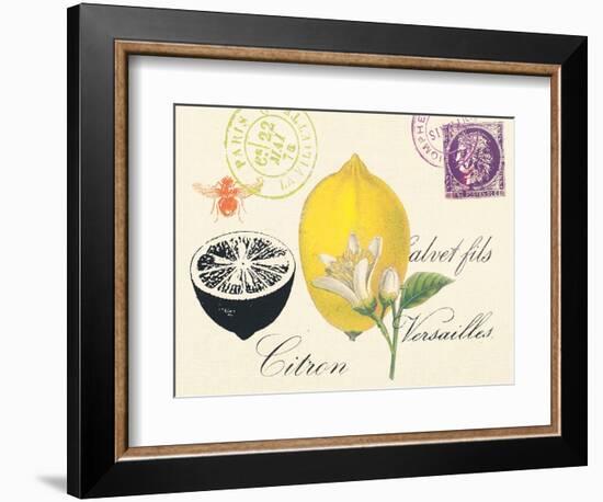 Lemon Letter-Z Studio-Framed Art Print