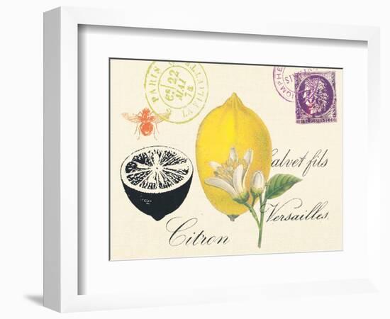 Lemon Letter-Z Studio-Framed Premium Giclee Print