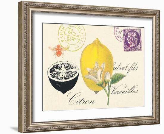 Lemon Letter-Z Studio-Framed Art Print