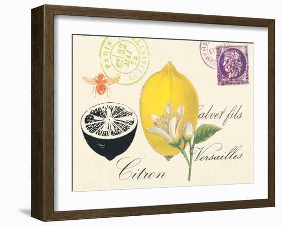 Lemon Letter-Z Studio-Framed Art Print