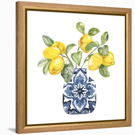 Lemon Life II-null-Framed Stretched Canvas