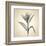 Lemon Lily-Judy Stalus-Framed Art Print