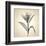 Lemon Lily-Judy Stalus-Framed Art Print