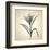 Lemon Lily-Judy Stalus-Framed Art Print