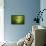 Lemon Lime Drop II-Tammy Putman-Framed Premier Image Canvas displayed on a wall