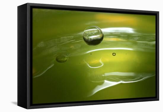 Lemon Lime Drop II-Tammy Putman-Framed Premier Image Canvas