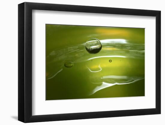 Lemon Lime Drop II-Tammy Putman-Framed Photographic Print