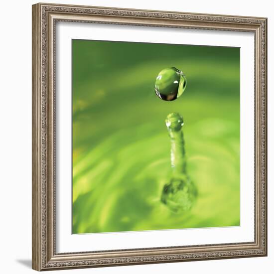 Lemon Lime Drop III-Tammy Putman-Framed Photographic Print