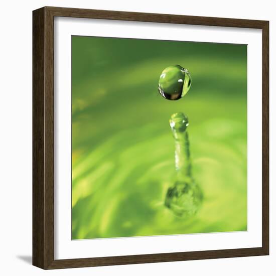 Lemon Lime Drop III-Tammy Putman-Framed Photographic Print