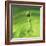 Lemon Lime Drop III-Tammy Putman-Framed Photographic Print