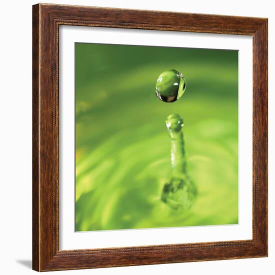 Lemon Lime Drop III-Tammy Putman-Framed Photographic Print