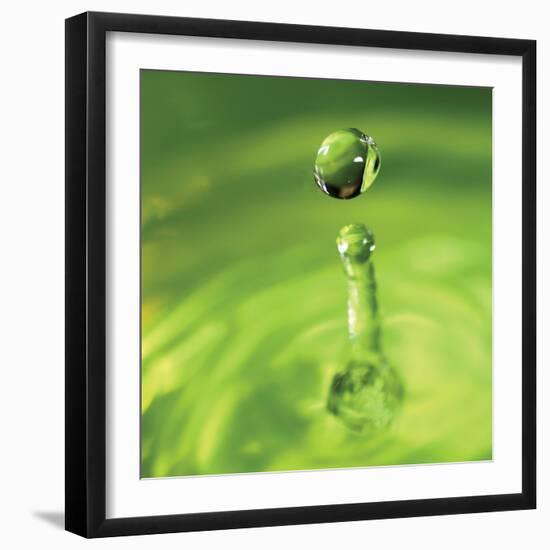 Lemon Lime Drop III-Tammy Putman-Framed Photographic Print