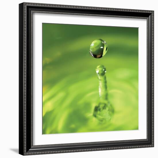 Lemon Lime Drop III-Tammy Putman-Framed Photographic Print