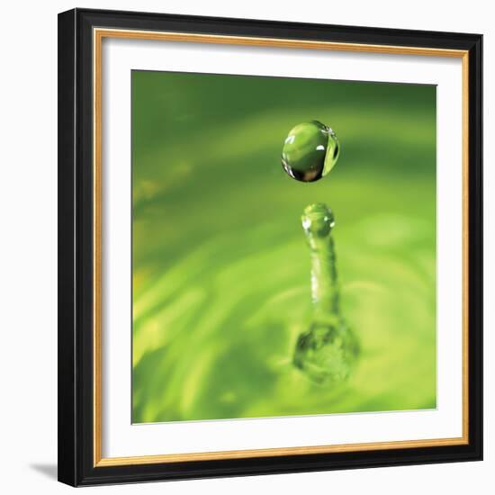 Lemon Lime Drop III-Tammy Putman-Framed Photographic Print