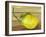 Lemon on a box-Gigi Begin-Framed Giclee Print