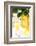 Lemon on a Branch, Citrus Limon-Sweet Ink-Framed Photographic Print