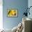 Lemon Orchid I-Dana Styber-Framed Photographic Print displayed on a wall