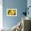 Lemon Orchid I-Dana Styber-Framed Photographic Print displayed on a wall