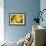 Lemon Orchid I-Dana Styber-Framed Photographic Print displayed on a wall