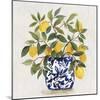 Lemon Plant I-Asia Jensen-Mounted Art Print