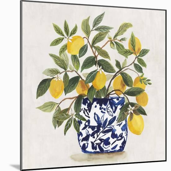 Lemon Plant I-Asia Jensen-Mounted Art Print