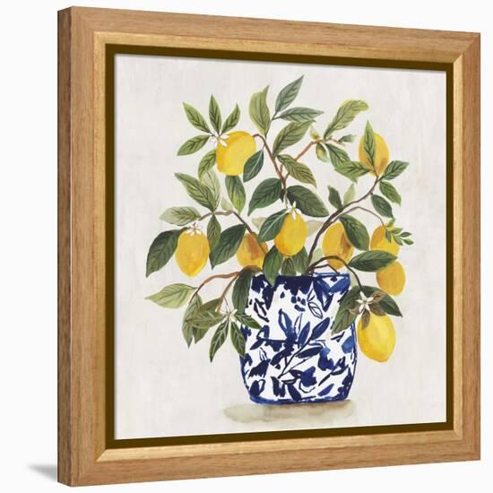 Lemon Plant I-Asia Jensen-Framed Stretched Canvas