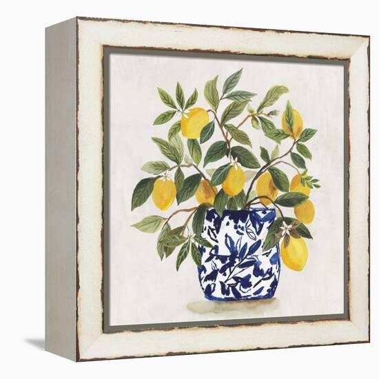 Lemon Plant I-Asia Jensen-Framed Stretched Canvas