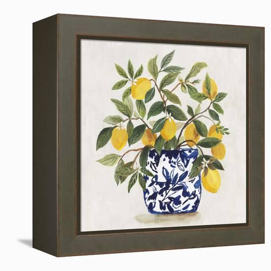 Lemon Plant I-Asia Jensen-Framed Stretched Canvas