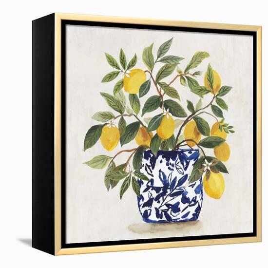 Lemon Plant I-Asia Jensen-Framed Stretched Canvas