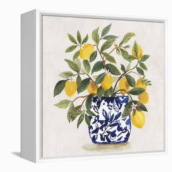 Lemon Plant I-Asia Jensen-Framed Stretched Canvas