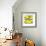 Lemon Pop Four-Jan Weiss-Framed Art Print displayed on a wall