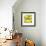 Lemon Pop Four-Jan Weiss-Framed Premium Giclee Print displayed on a wall