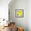 Lemon Pop Three-Jan Weiss-Framed Stretched Canvas displayed on a wall