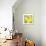 Lemon Pop Three-Jan Weiss-Premium Giclee Print displayed on a wall