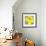 Lemon Pop Three-Jan Weiss-Framed Premium Giclee Print displayed on a wall