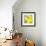 Lemon Pop Three-Jan Weiss-Framed Premium Giclee Print displayed on a wall