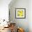 Lemon Pop Three-Jan Weiss-Framed Premium Giclee Print displayed on a wall