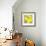 Lemon Pop Three-Jan Weiss-Framed Art Print displayed on a wall