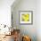 Lemon Pop Three-Jan Weiss-Framed Art Print displayed on a wall