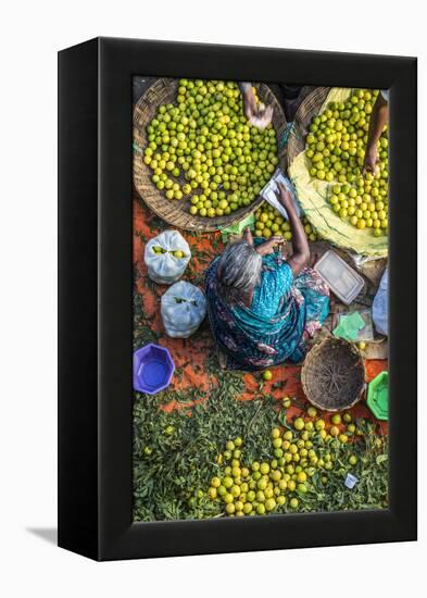 Lemon Seller, K.R. Market, Bangalore (Bengaluru), Karnataka, India-Peter Adams-Framed Premier Image Canvas